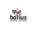 Balius Marketing & Web Design Logotype