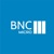 Bncmicro Logotype