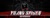 Young Spider SEO and Digital Marketing Logotype