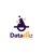 DataWiz Logotype