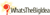 Whats The Big Idea Logotype
