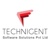 Technigent Logotype