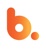 Bakson Ltd Logotype