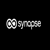 Synapse Marketing Solutions Logotype