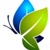 Triad Web Design Service Logotype