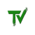 TechVizmo Logotype