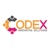 Codex Innovative Solutions Logotype
