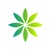 Excentric Agency Logotype