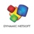 Dynamic Netsoft Technologies Logotype