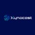 Xynocast Consultancy Services Logotype