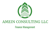 Amein Consulting LLC Logotype
