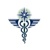 Polaris Placement, LLC Logotype