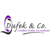 Dufek & Company, LLC Logotype