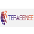 TeraSense, Inc. Logotype