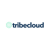 TRIBECLOUD LLC Logotype