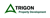 Trigon Property Development Logotype