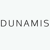 Dunamis Web Services Ltd Logotype