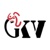 GKV Software Solutions PVT LTD Logotype