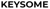 KEYSOME.COM Logotype