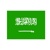 SAUDI ARABIA VISA Logotype