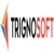 Trignosoft Solutions Pvt Ltd Logotype