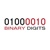 Binary Digits Private Limited Logotype