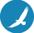 iiTranslation Logotype