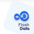 FlashData Logotype