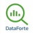 DataForte Logotype