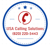 USA Calling Solutions Logotype