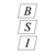 Brunswick Surveying, Inc. Logotype