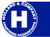 Holland & Co Logotype