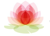 Lily Pad PR Logotype