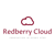 Redberry Cloud Pvt. Ltd. Logotype