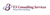 E3 Consulting Services Logotype