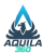 Aquila360 Logotype