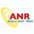 ANR Consulting Group, Inc. Logotype