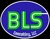 BLS Consulting, LLC Logotype