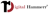 Digital Hammer Logotype