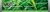 Hayes Environmental Consulting Pty Ltd Logotype