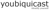 youbiquicast, LLC Logotype