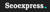 SEO EXPRESS Logotype