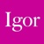 Igor Naming Agency Logotype