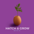 Hatch & Grow Media Logotype
