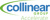 Collinear Group Logotype