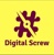 Digital Screw Services Logotype