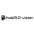 HubAI.D-Vision Logotype