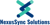 NexusSync Solutions Logotype