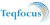 Teqfocus Consulting LLC Logotype