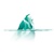 Risico's in beeld Logotype